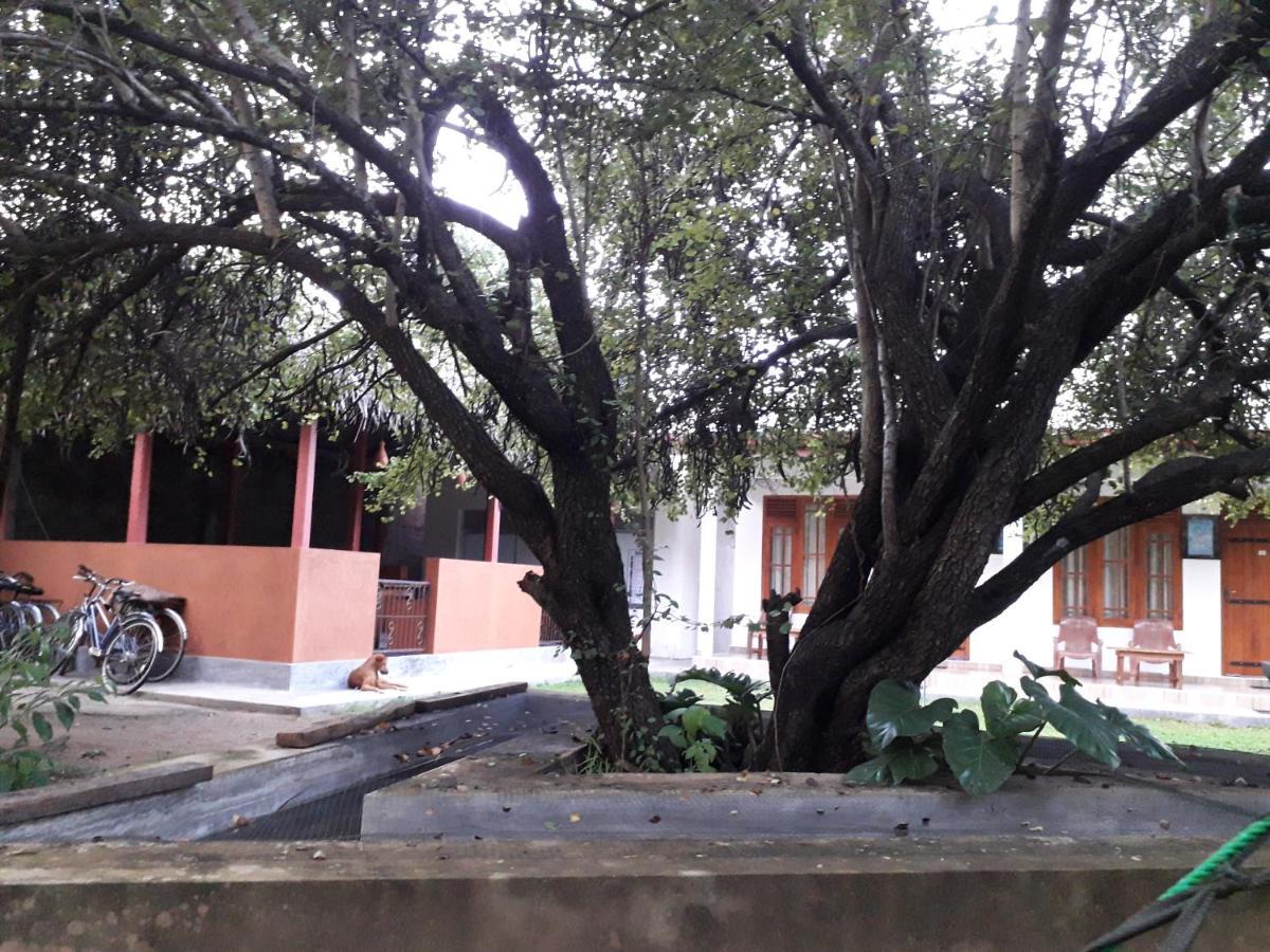 River Nature Park Polonnaruwa Luaran gambar