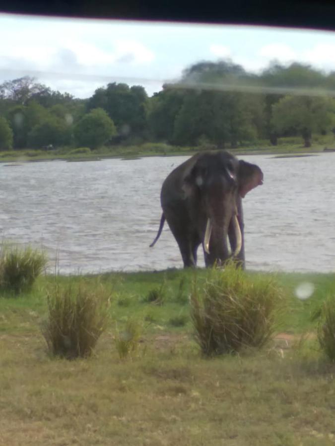 River Nature Park Polonnaruwa Luaran gambar